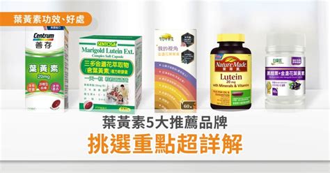 黃色眼睛 品牌|2024葉黃素推薦》葉黃素怎麼吃？Dcard網友激推6大。